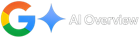 AI Overview